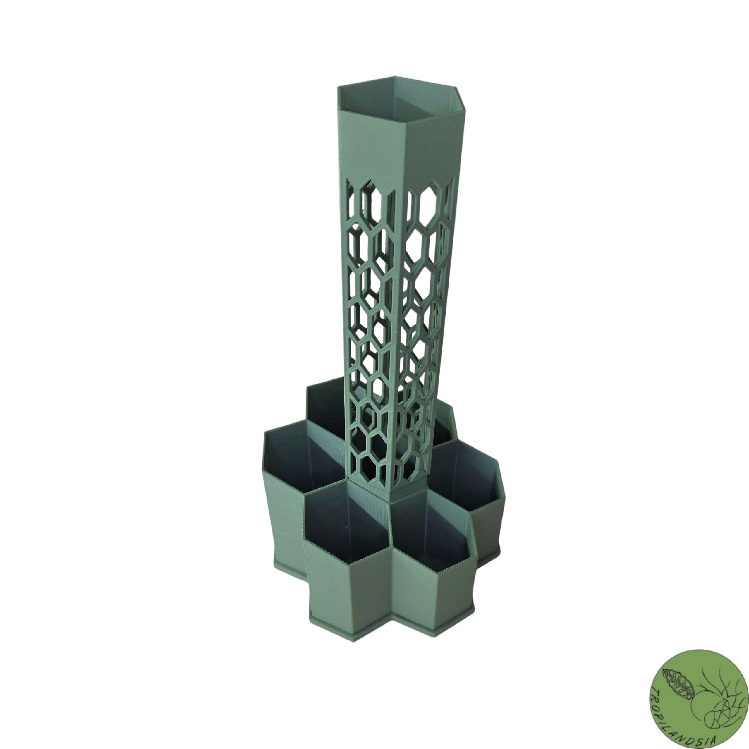 Pole Hexagone + Tuteur