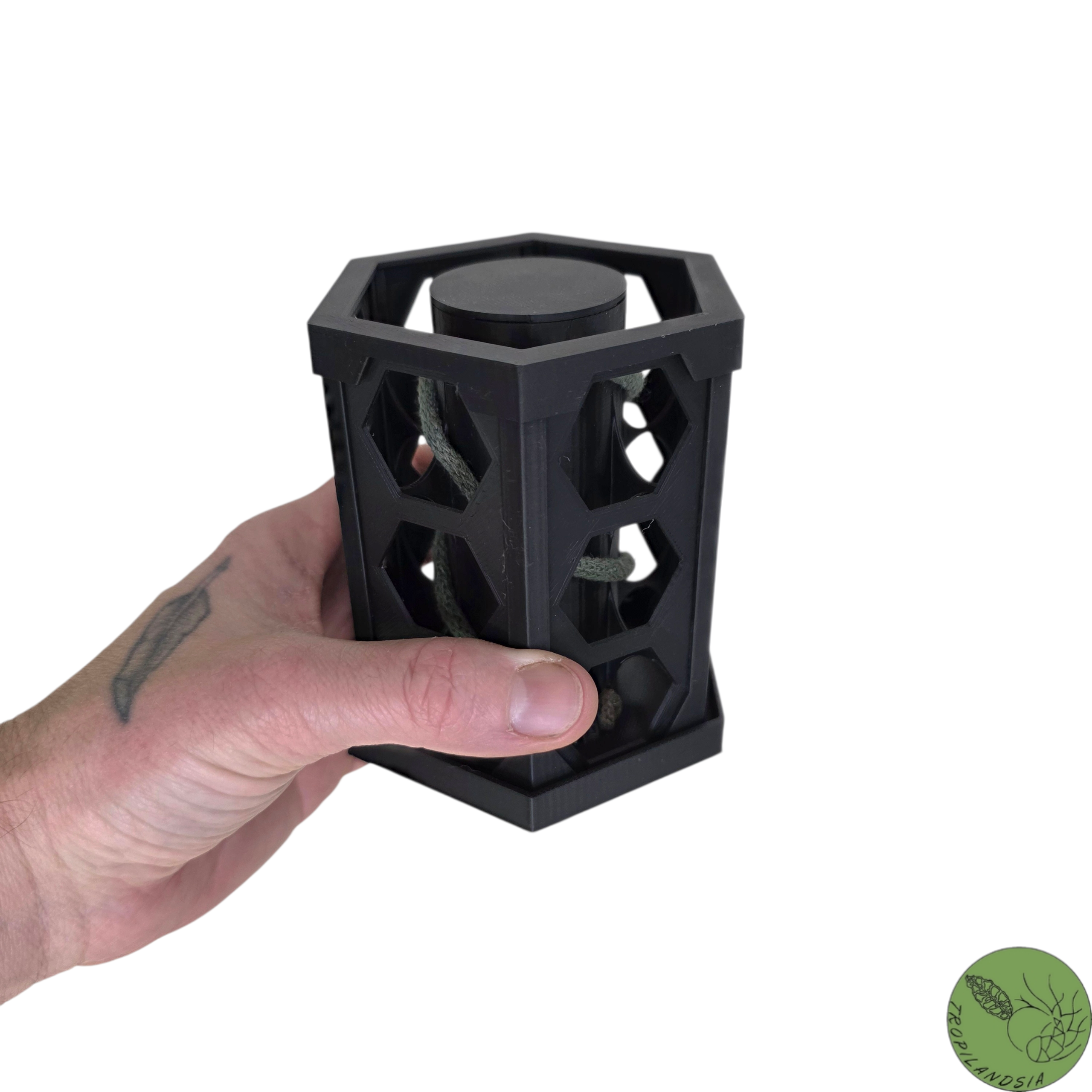 Station de Bouturage