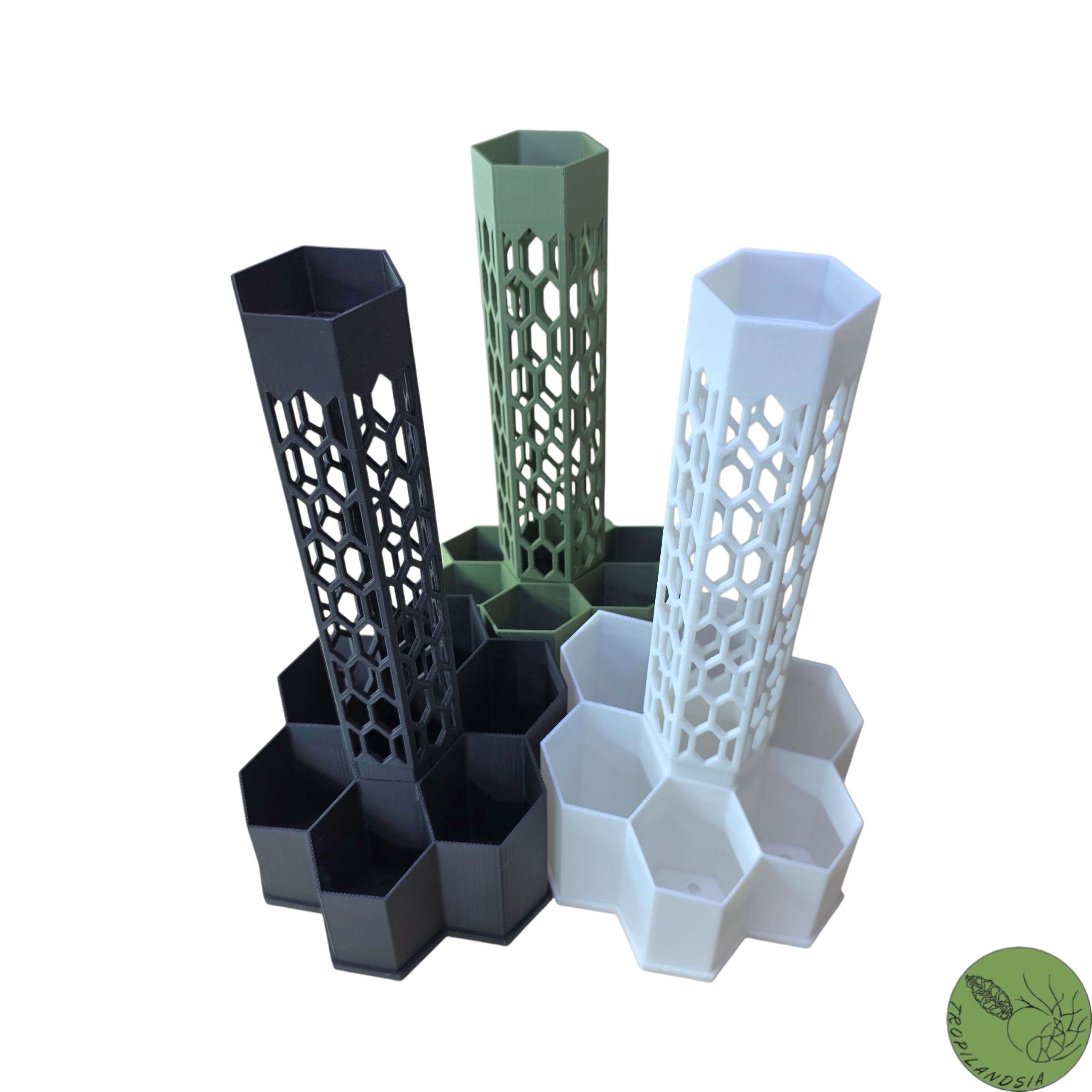 Pole Hexagone + Tuteur