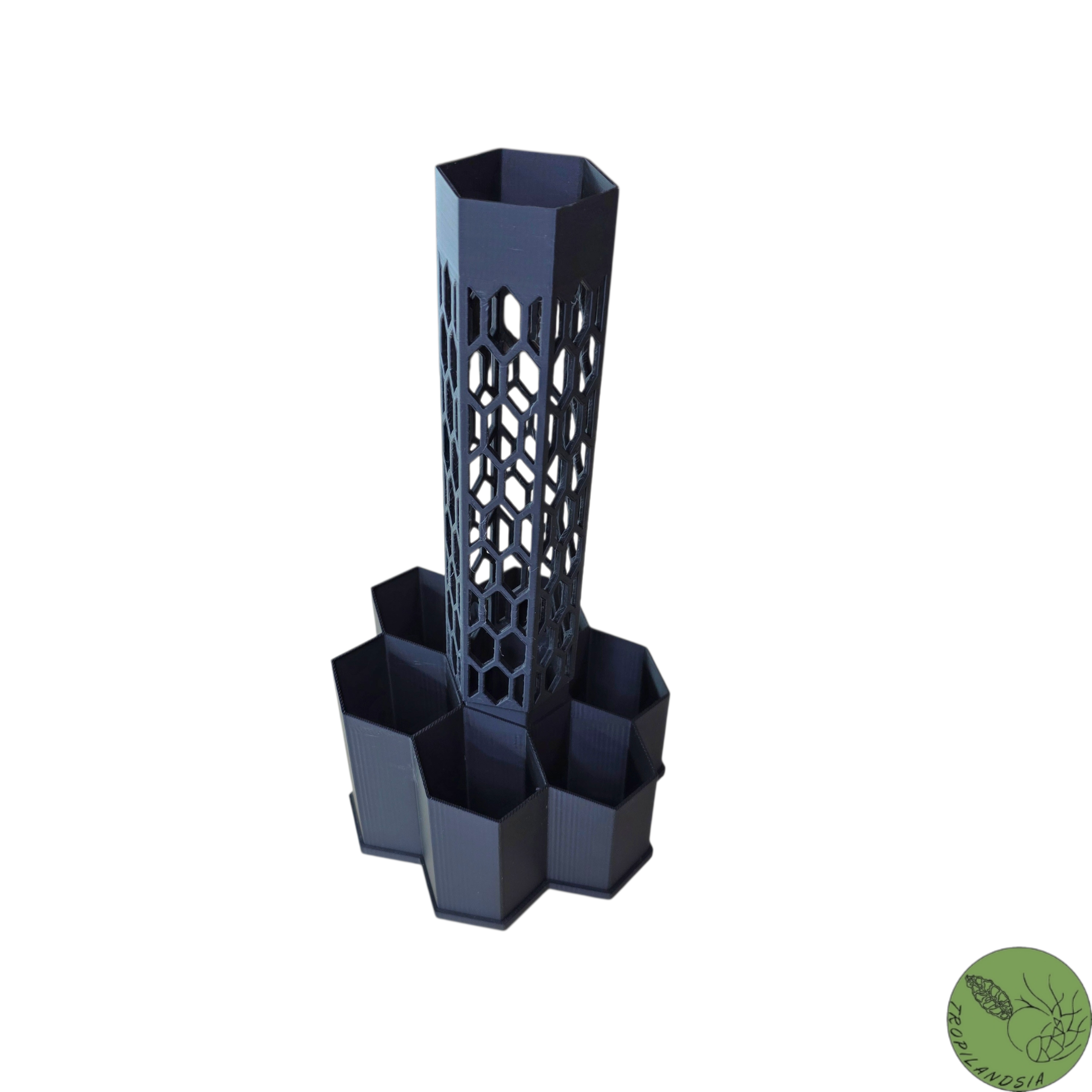 Pole Hexagone + Tuteur