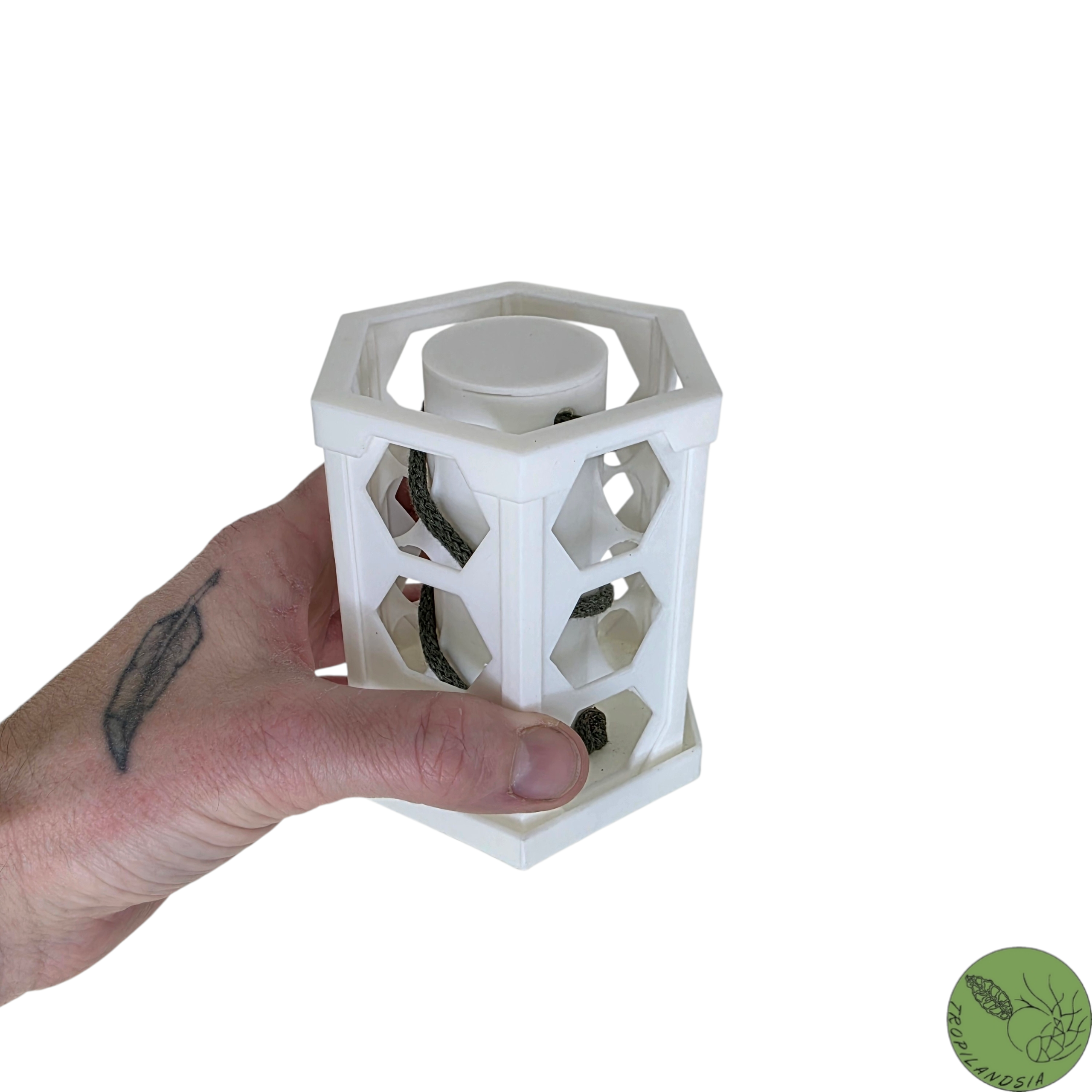 Station de Bouturage