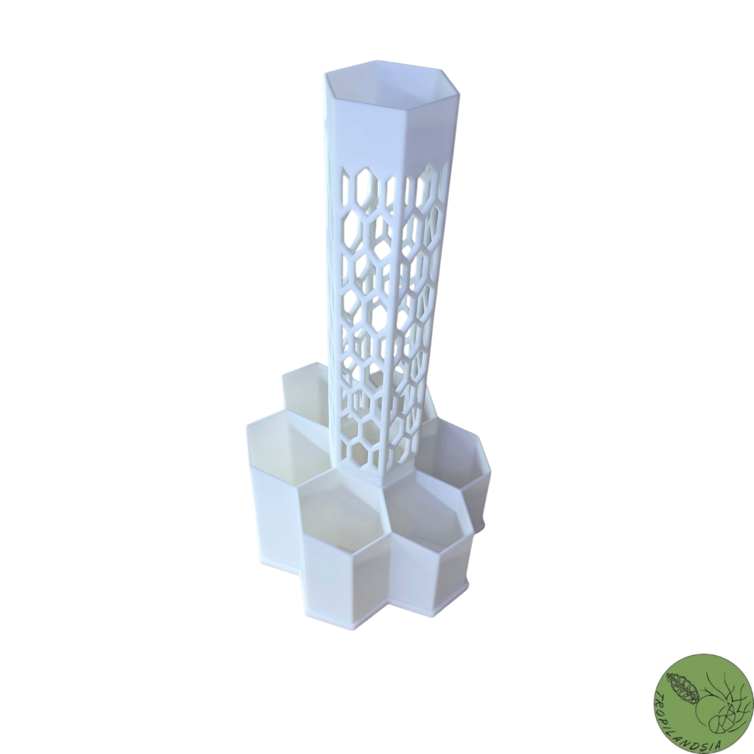 Pole Hexagone + Tuteur