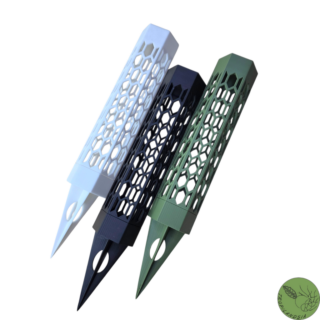 Tuteur Hexagone + Socle